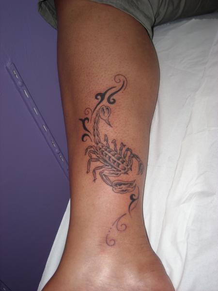 scorpion